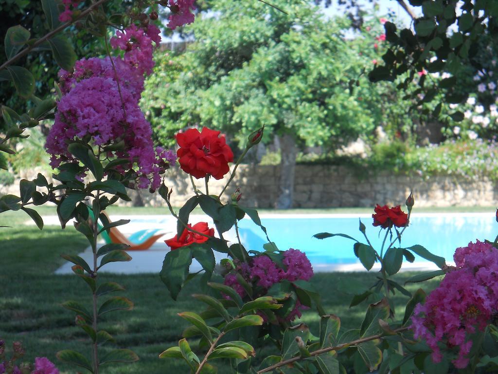 Willa Il Giardino Dei Carrubi Donnalucata  Pokój zdjęcie